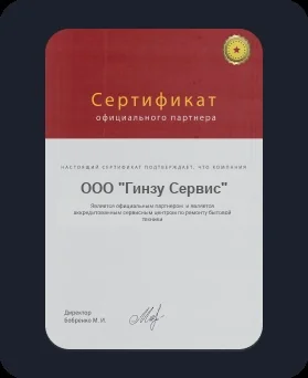 Лицензия Ginzzu